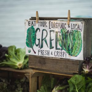 Organic salads at stall