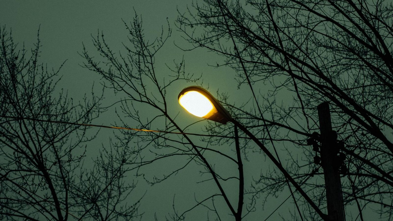 dark night with street light