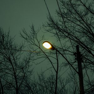 dark night with street light